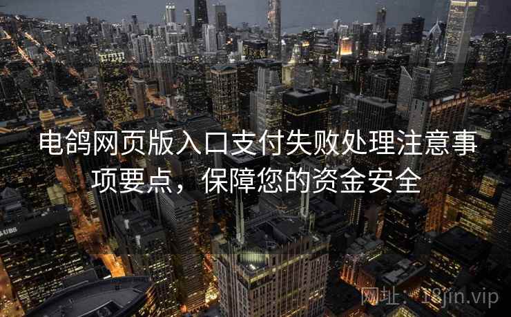 电鸽网页版入口支付失败处理注意事项要点，保障您的资金安全
