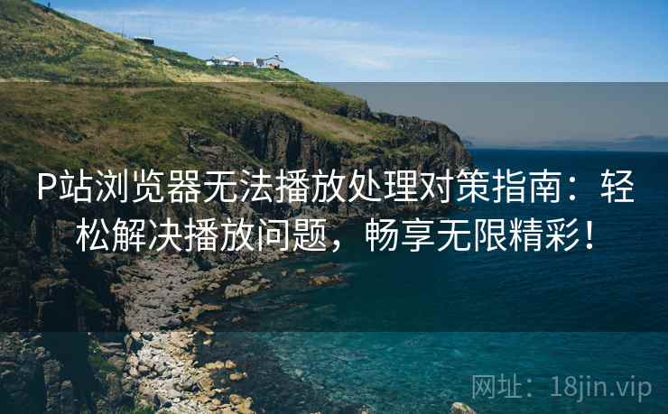 P站浏览器无法播放处理对策指南：轻松解决播放问题，畅享无限精彩！