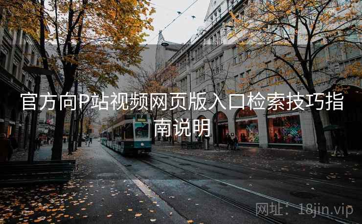 官方向P站视频网页版入口检索技巧指南说明