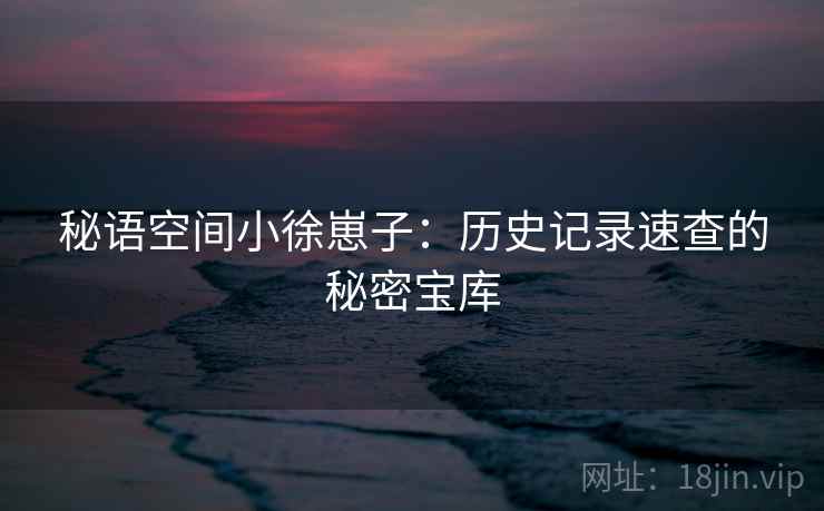 秘语空间小徐崽子：历史记录速查的秘密宝库