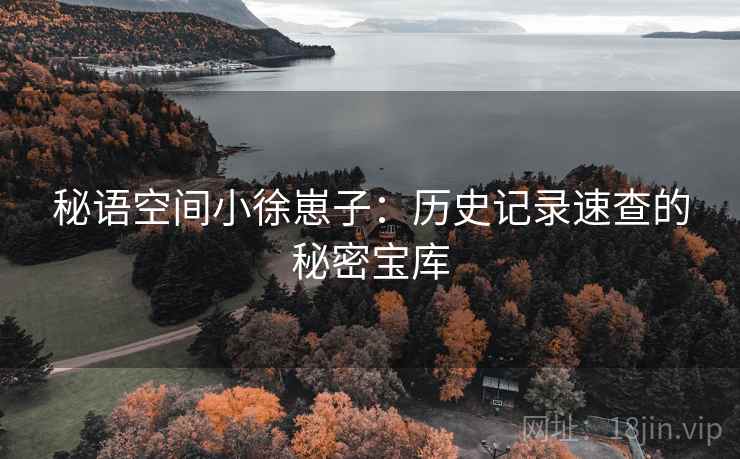 秘语空间小徐崽子:历史记录速查的秘密宝库 秘语空间小徐崽子:历史记录速查的秘密宝库
