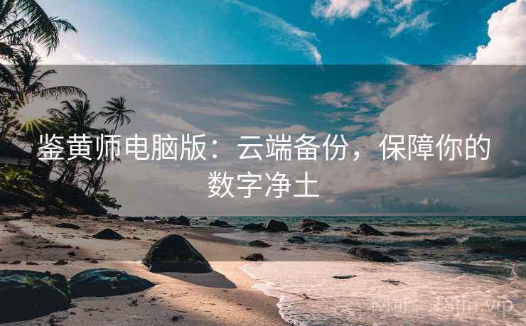 鉴黄师电脑版：云端备份，保障你的数字净土