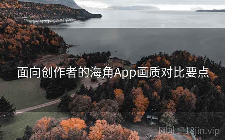 面向创作者的海角App画质对比要点