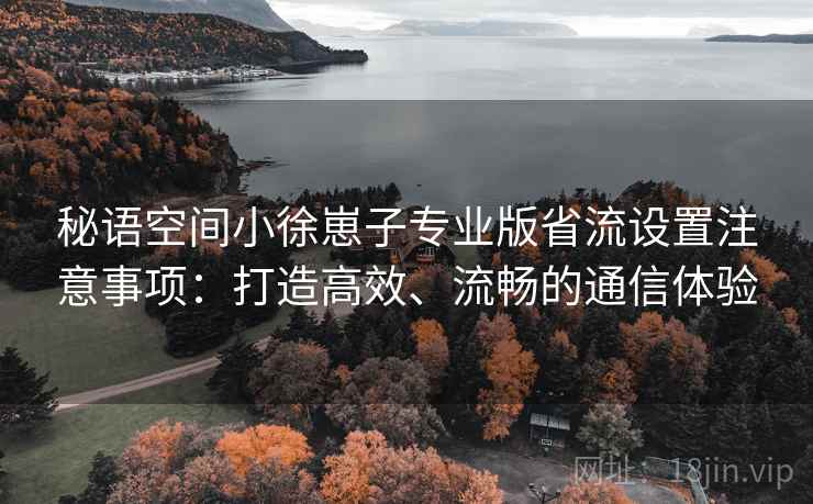 秘语空间小徐崽子专业版省流设置注意事项：打造高效、流畅的通信体验