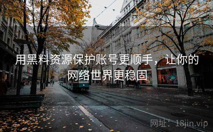 用黑料资源保护账号更顺手，让你的网络世界更稳固