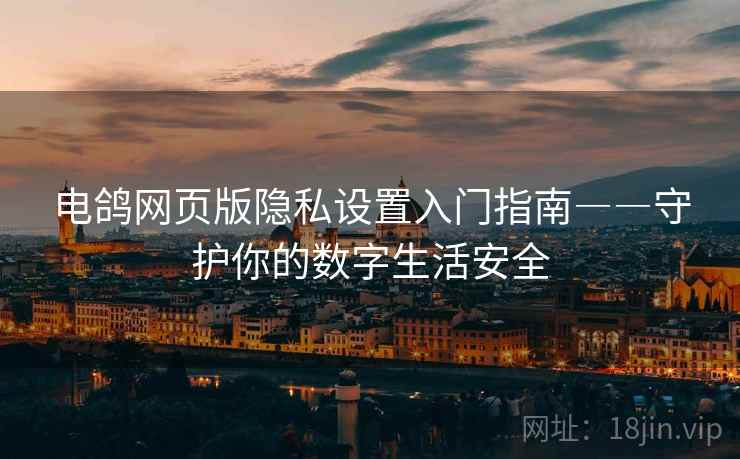 电鸽网页版隐私设置入门指南――守护你的数字生活安全