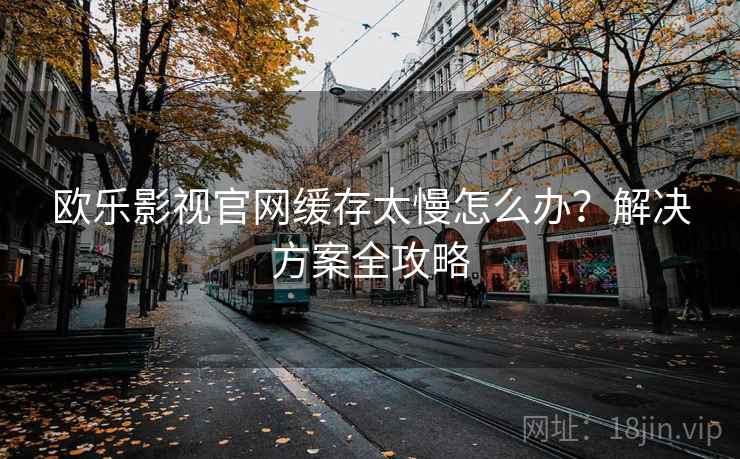 欧乐影视官网缓存太慢怎么办？解决方案全攻略