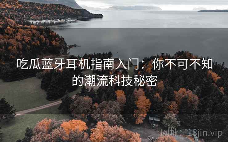 吃瓜蓝牙耳机指南入门：你不可不知的潮流科技秘密