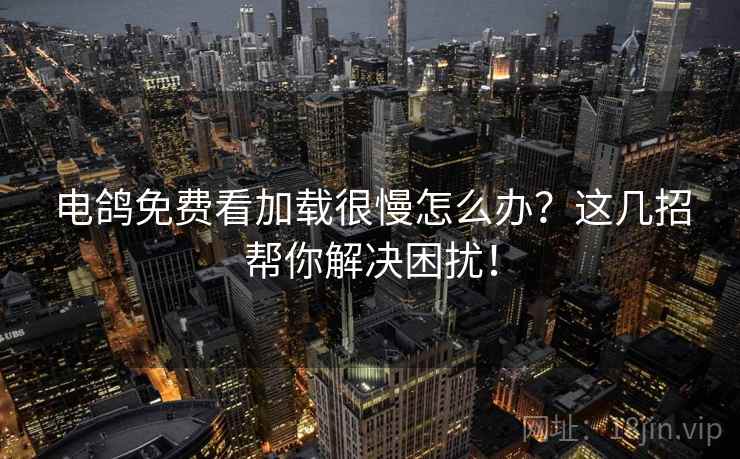 电鸽免费看加载很慢怎么办？这几招帮你解决困扰！