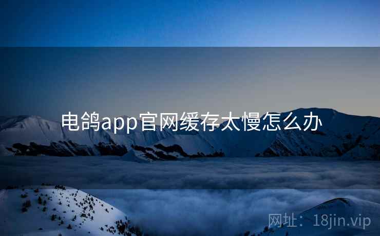 电鸽app官网缓存太慢怎么办