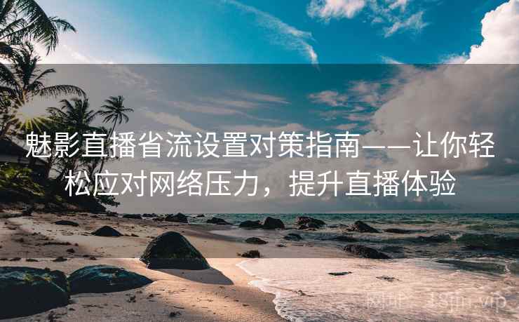 魅影直播省流设置对策指南——让你轻松应对网络压力，提升直播体验